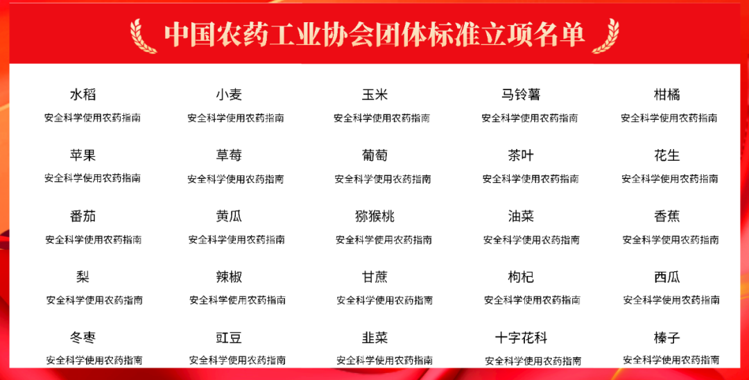 《马铃薯安全科学使用农药指南》团体标准讨论会在京召开(图2)